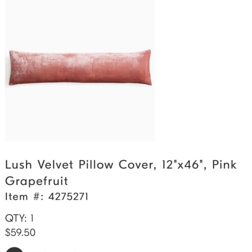 West Elm Pink Velvet Pillow Cover